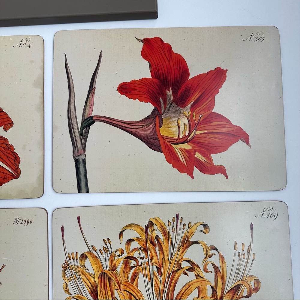 Cala Home Hardboard Cork Backed Floral Placemats from Colonial Williamsburg - Picture 5 of 13